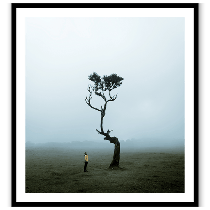 The Lonely Tree