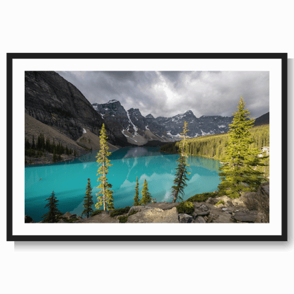 Canada blues LS