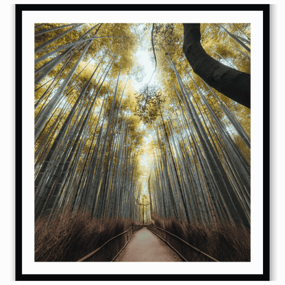 Kyoto whispers