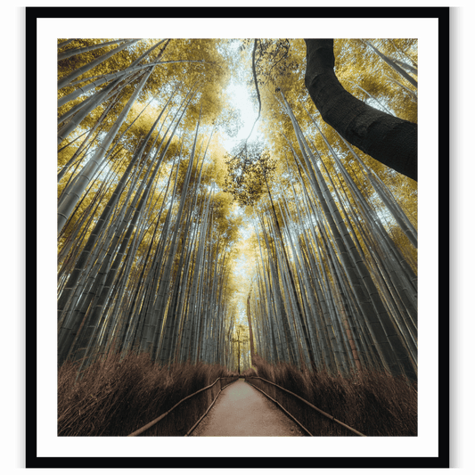 Kyoto whispers