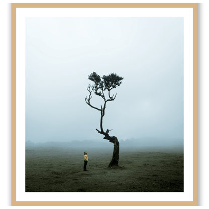 The Lonely Tree