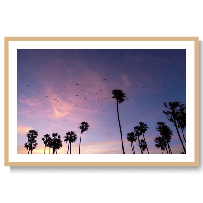 California dreamin’