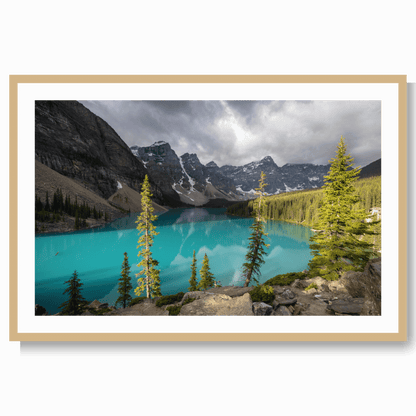 Canada blues LS