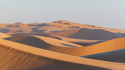 Sand & Shadow