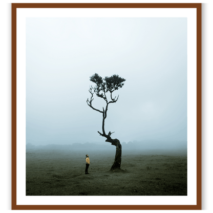 The Lonely Tree