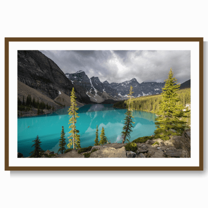 Canada blues LS